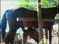 A gorgeous ebony amateur beastiality whore girl is fucked by a horse from behind.